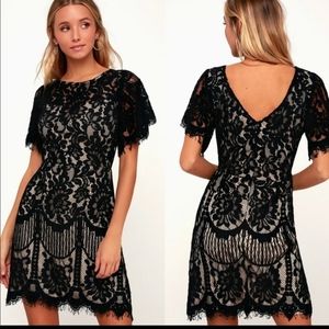 Black lace short sleeve party mini dress LBD LARGE, NWT. Absolutely gorgeous